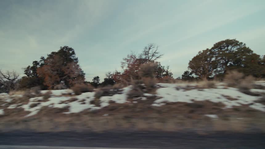 A view from a moving vehicle shows a vast desert landscape with patches of white snow on the ground and evergreen trees under a pale blue sky with light clouds