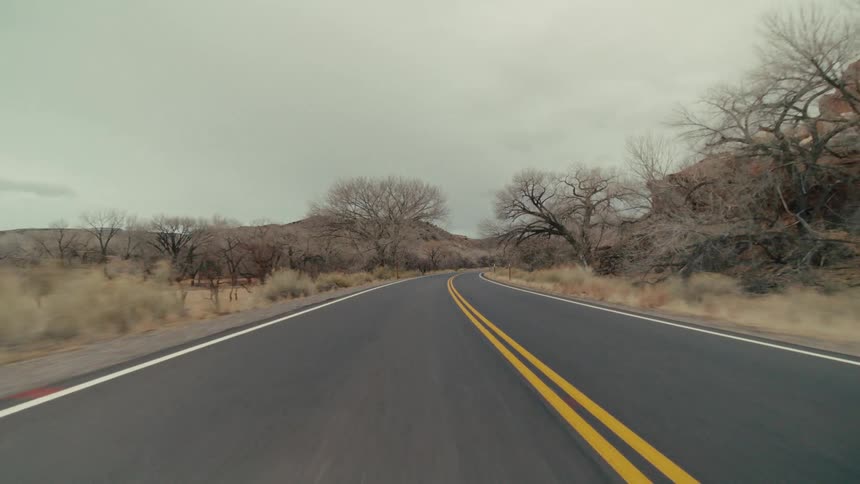 The video shows a smooth lowangle shot of a twolane asphalt road winding through a desert landscape under a gray overcast sky bare spindly trees and rugged rock formations line the route as the camera moves forward along the double yellow lines