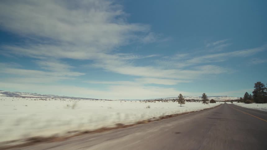 A view from a moving vehicle shows a long paved road passing through a vast snowy field with scattered evergreen trees under a bright blue sky with soft white clouds