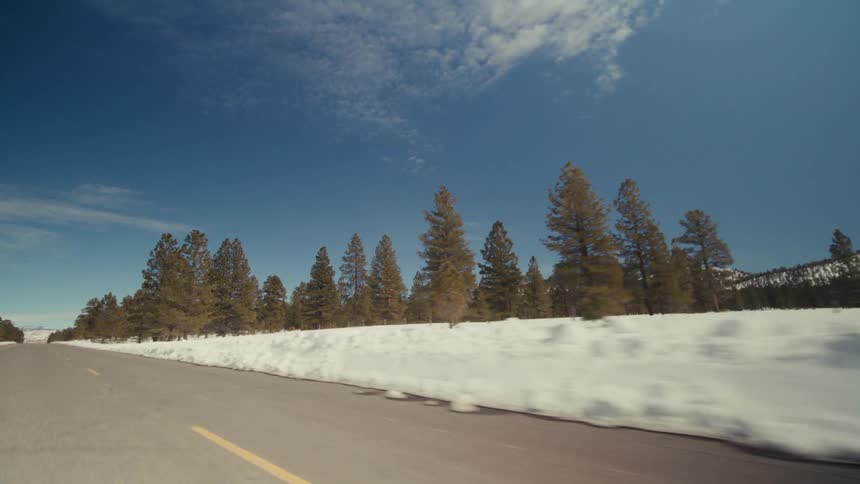 A view of a road dirivng through a forest covered in snow