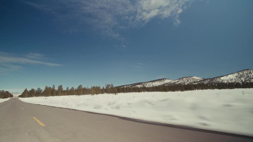 A view of a road dirivng through a forest covered in snow