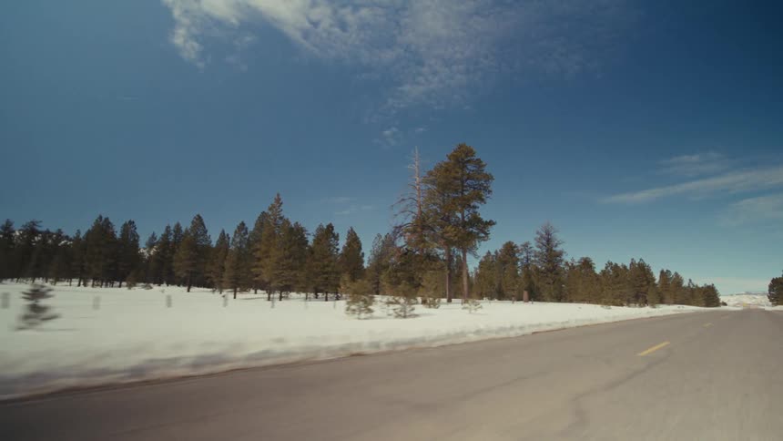 A view of snow on a forest along the edge of a road