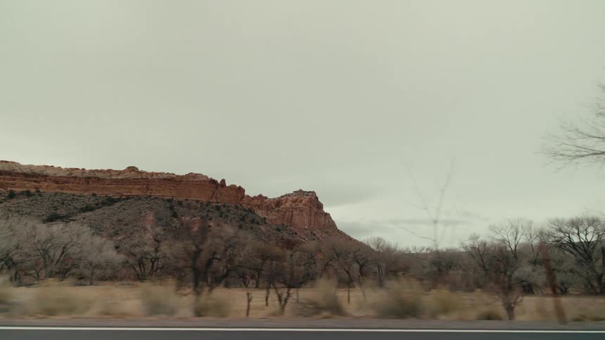 A winter desert landscape featuring dark bare trees in the foreground and towering red sandstone mesas under a grey overcast sky while a metal fence and dry brush line the edge of a paved road