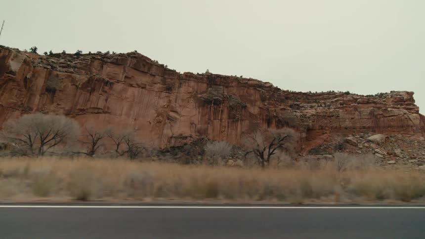 Trees and plants with mountains and canyons along the roadside