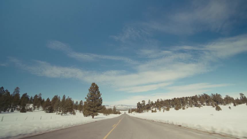 Snow covers the ground of the forest around the highway