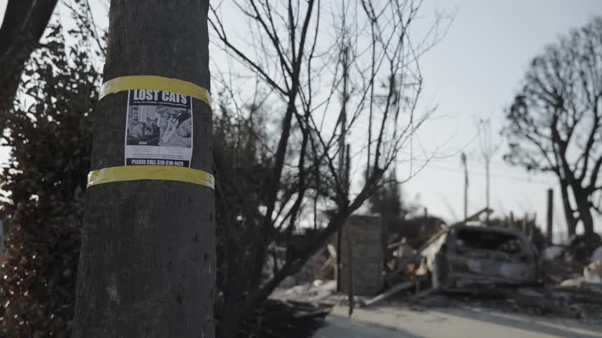 A view of some houses that have burnt down