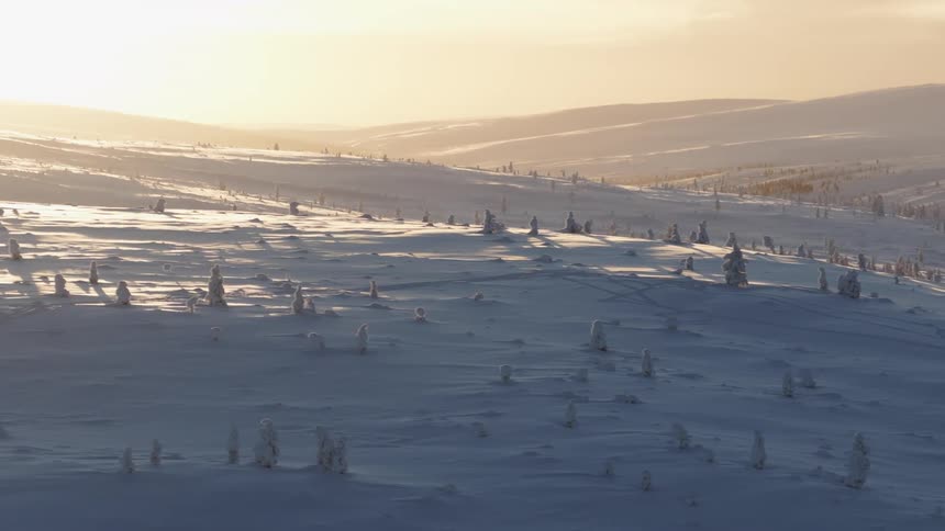 Trees scattered across a snow covered mountain with mountains in the distance as the sun glows in a hazy sky