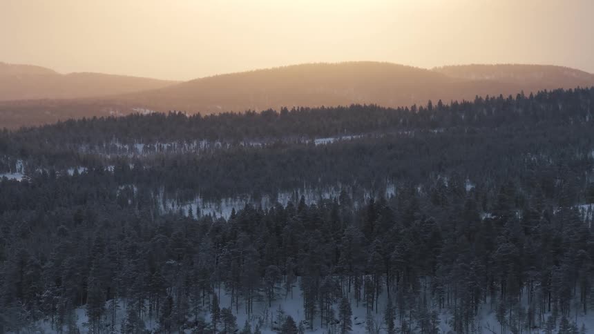 Forest covered in snow with a mountain range on the background outdoors during dusk or dawn