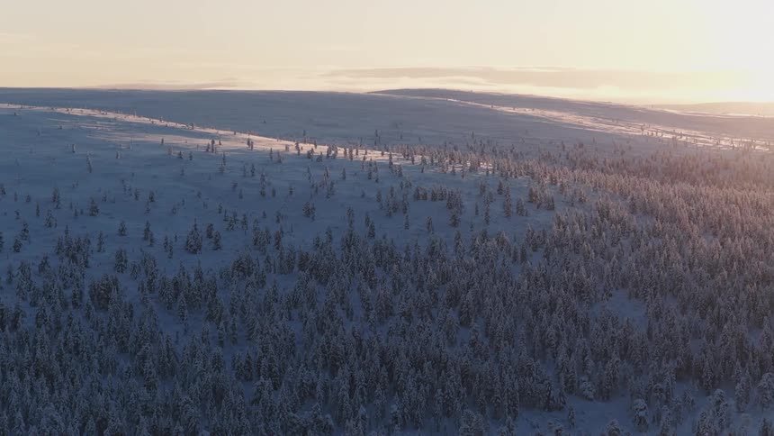 Aerial of snow covering forest hills at sunset
