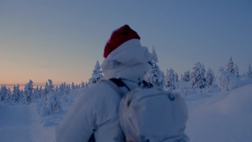 Hiker walks across snow covered terrain near frost covered conifers as red tints the sky