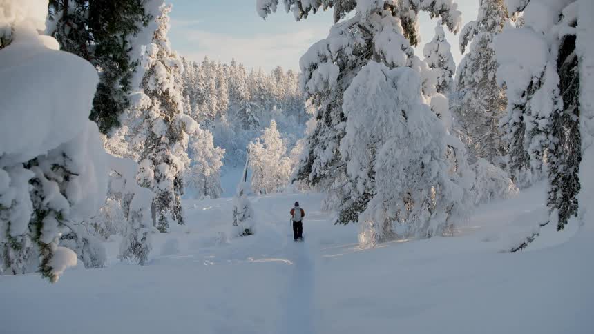 A person walks through a snowcovered forest with trees laden with snow as the sun casts a warm glow on the wintry landscape