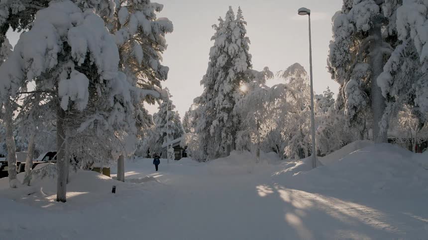 A person walks down a snowcovered path lined with heavy frostladen trees under a bright winter sunthe scene captures a quiet wintry landscape with long shadows stretching across the thick snow