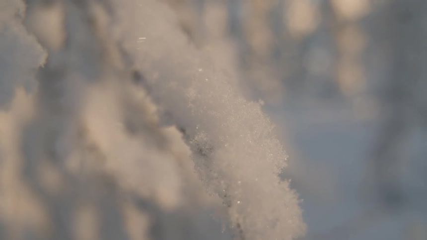 Closeup of accumulated snow with visible crystals under soft light