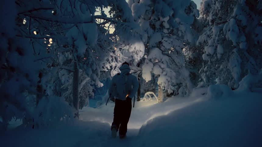 Person walks along a snowcovered trail between densely frozen trees at night