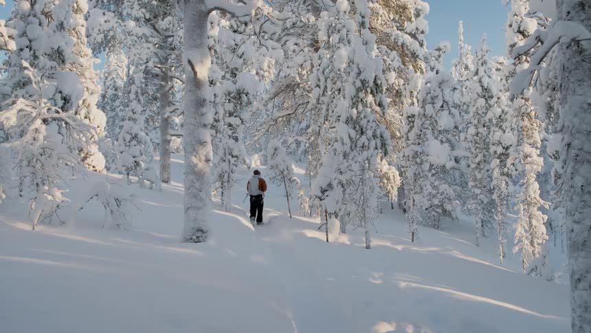 A lone male hiker walks through a snow covered forest in wintertime
