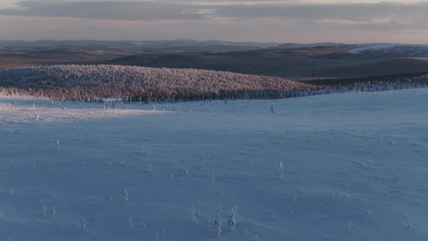 A vast snowcovered landscape stretches out under a soft sky with a forest of snowladen trees lines a distant ridge with smaller snowdusted trees dotting the foreground
