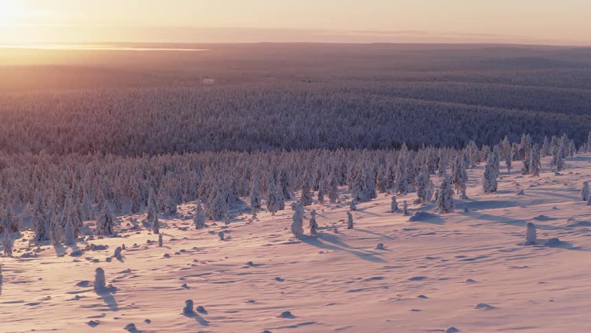 The snow on top of the mountains is covering a forest
