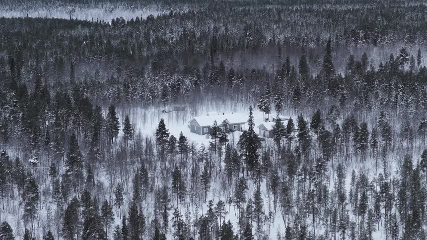 Houses on a clearing in a forest on a landscape covered in snow outdoors during day time
