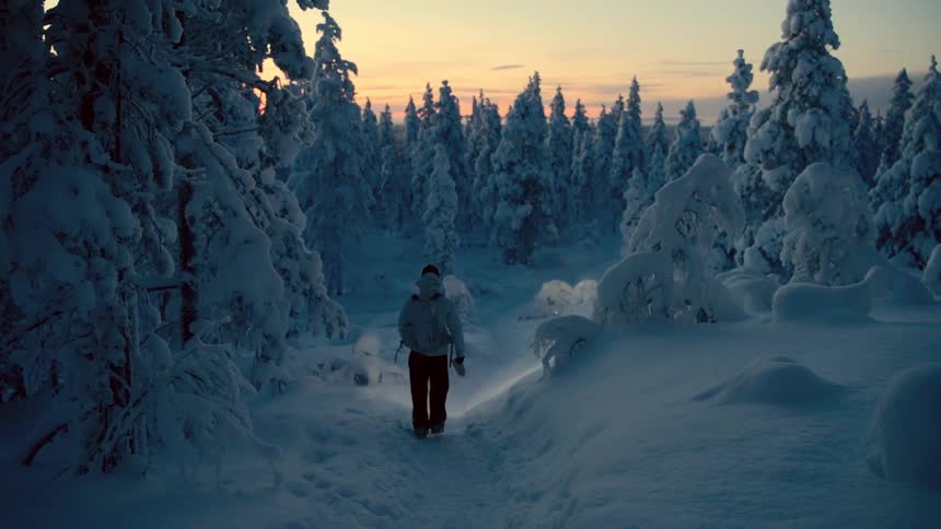 A lone hiker with a flashlight walks towards a snow covered forest