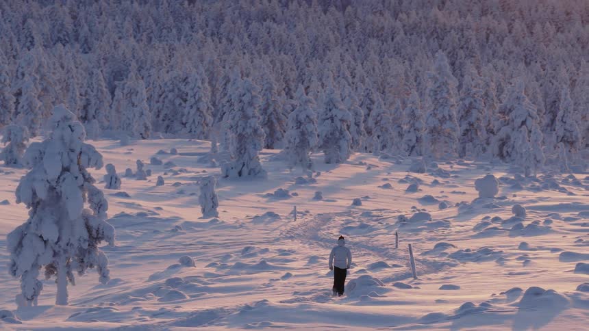 Person walks across a snowcovered field with isolated trees under evening light