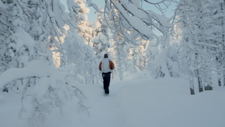 Hiker walking through a forest of snow covered trees