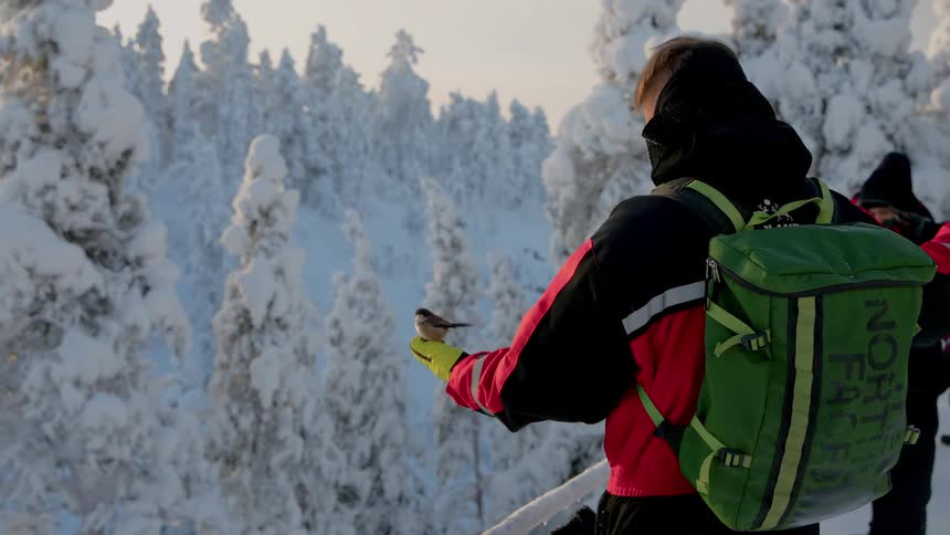 Hiker overlooking a snow covered mountain valley forest as he holds a bird on one hand and takes a picture with his camera in the other hand