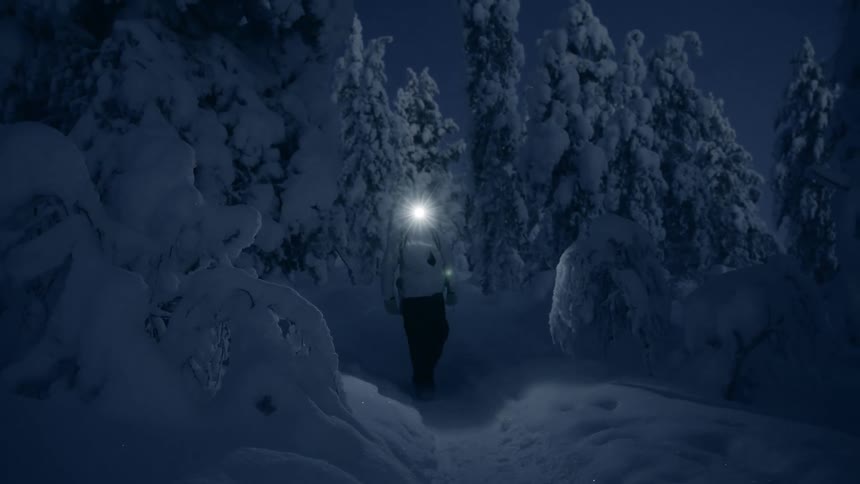 A person wearing a headlamp treks through a dense snowcovered forest during the blue hour of twilightthe bright beam of light cuts through the darkness as they walk toward the camera surrounded by heavy frostladen trees