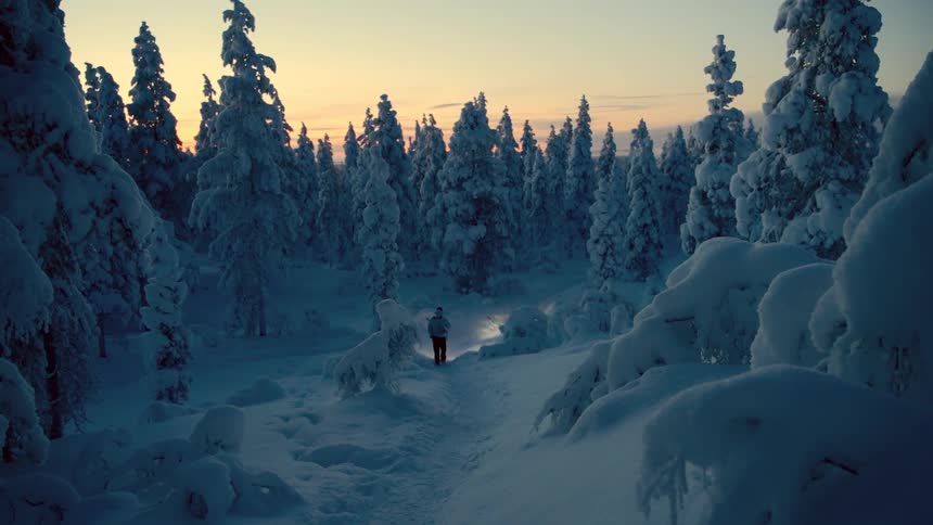 Person walks along a snowy trail between icecovered trees at dusk