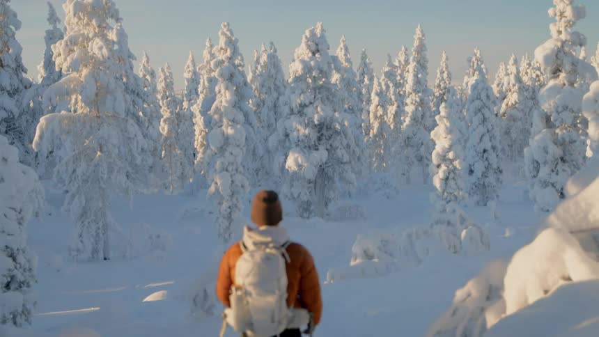 Hiker standing on a mountain slope looking at snow covered trees in the forest