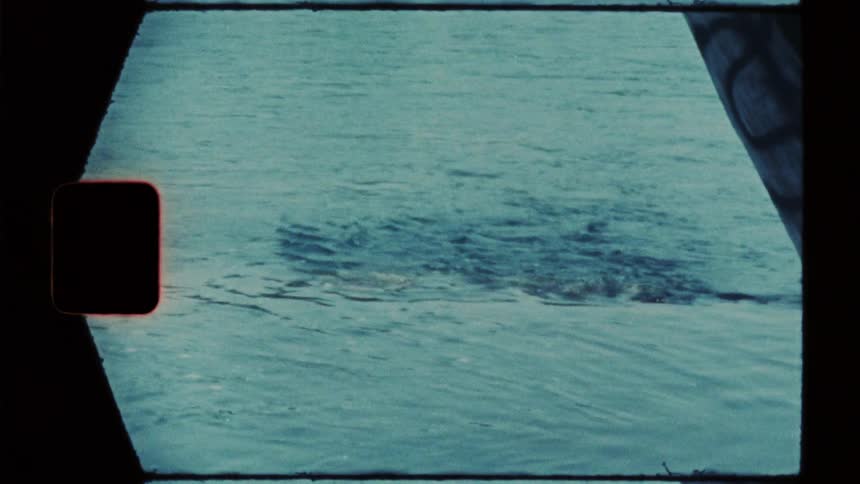 A view of some ripples in the water