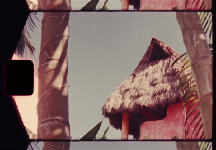 Thatched roof on a pinkwalled structure framed by palm tree trunks