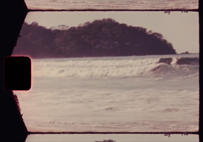 Two surfers catch waves while in the ocean on a sunny day