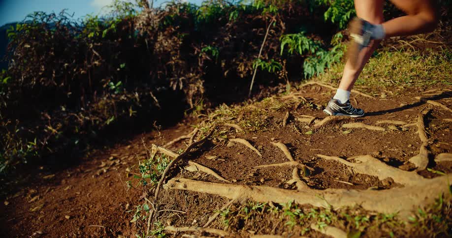 Woman running on a mountain trail steps over tree roots in the ground