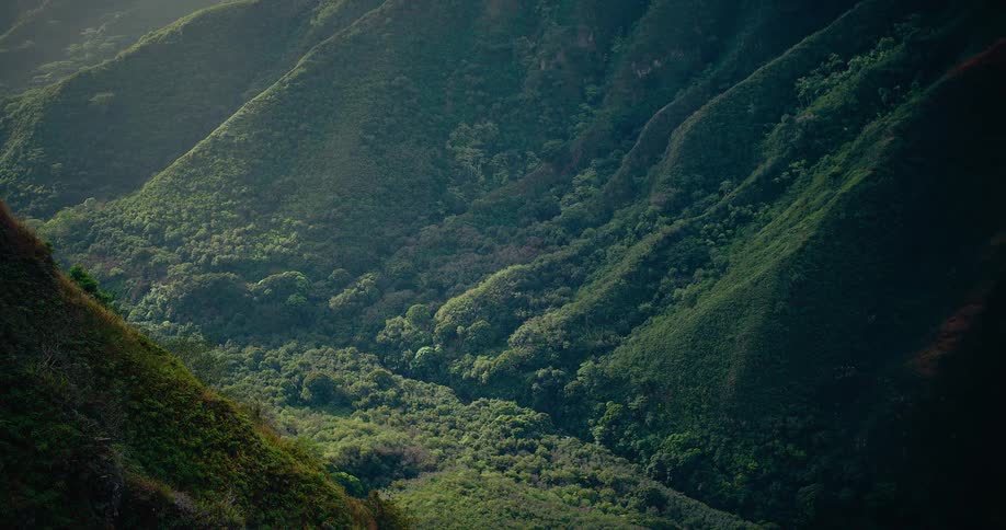 This video features a sweeping aerial view of a lush green mountain valley as sunlight shifts across the dense tropical foliage the camera pans slowly revealing the steep textured ridges and deep shadows of a majestic wilderness landscape