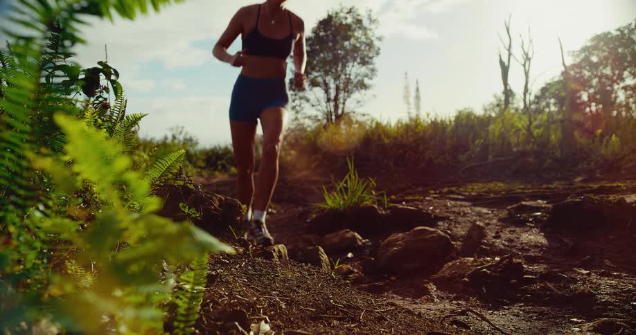 A woman wearing a dark sports bra and blue shorts runs toward the camera on a rocky dirt trail surrounded by green ferns and trees under a bright sun
