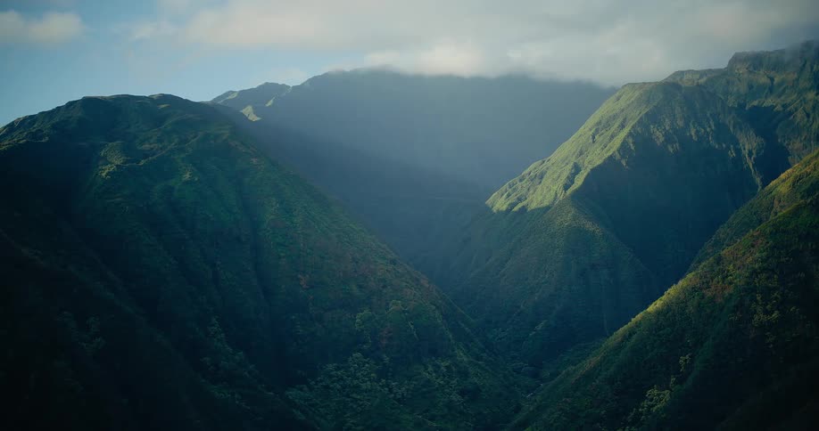 Plants and vegetation grows on mountains as fog hangs over the valley