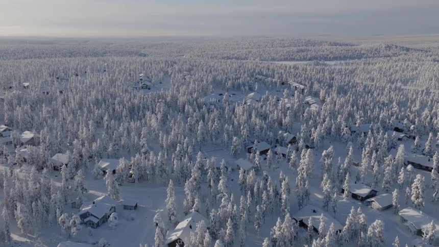 An aerial view shows a dense forest of snow covered trees and scattered houses during winter