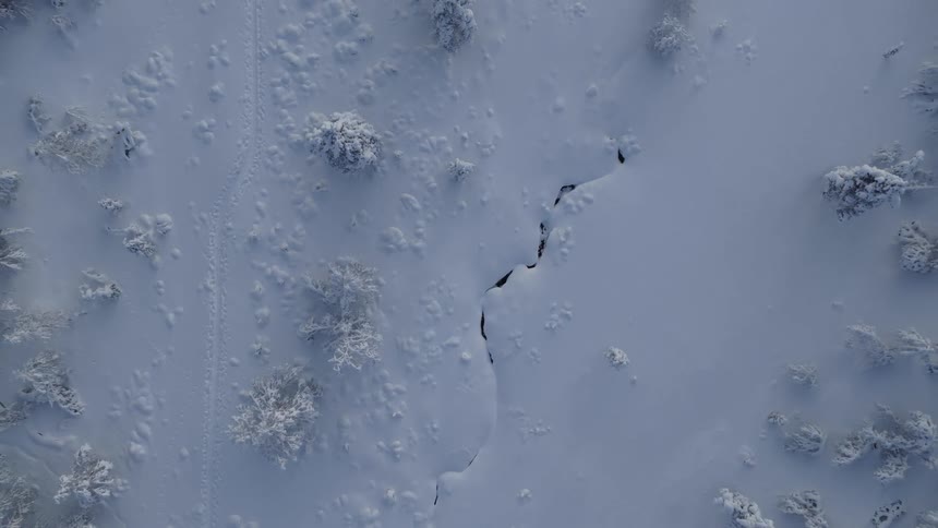 An aerial view of a forested area covered in snow