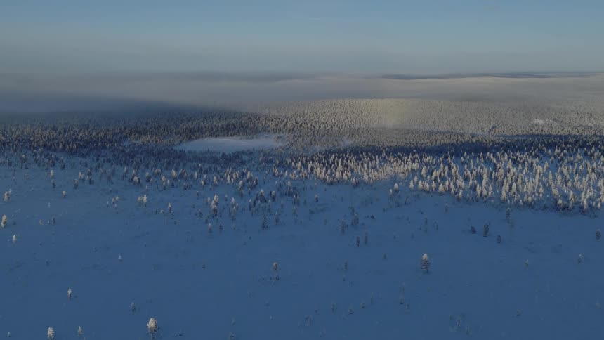 Frozen lake in the mountains with snow covered trees and woodland under a cloudy winter sky