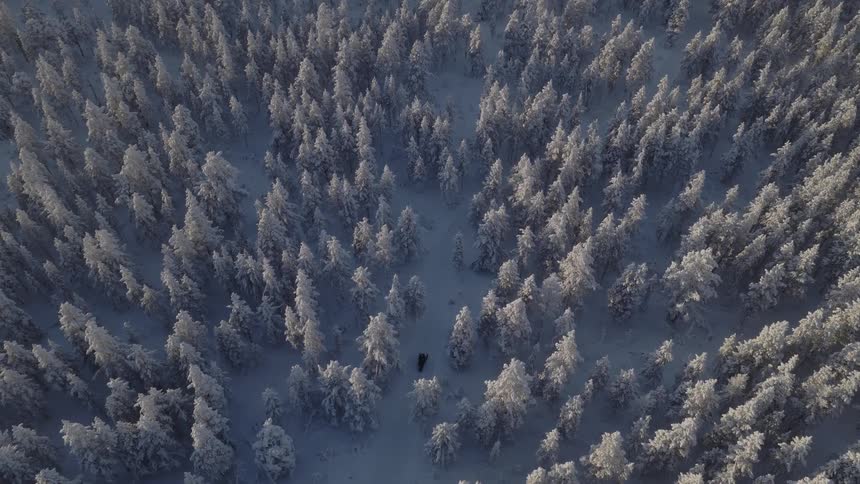 A wide aerial shot shows a lone person walking through a snow covered winter forest