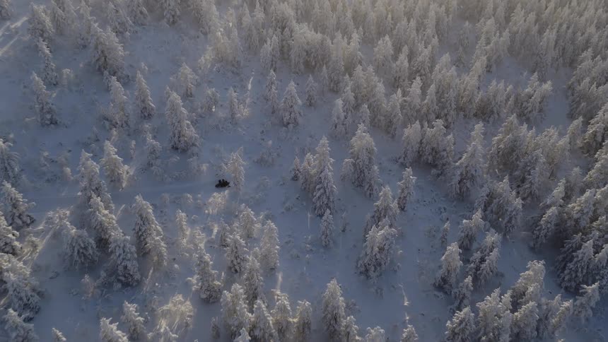 Aerial view of an atv driving through a snowcovered forest during dawn