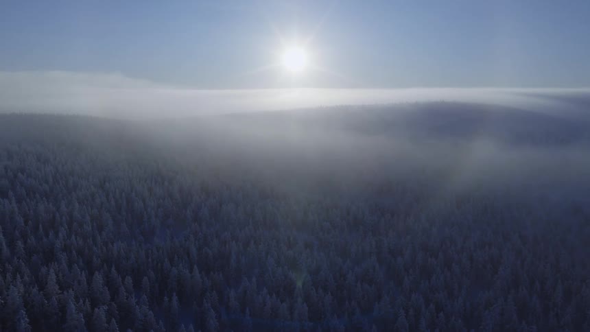 Low sun on the horizon illuminates a forest covered in mist and snow