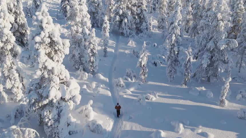 Person walks through the snowy woods on a path passing frost covered conifers on a winter day