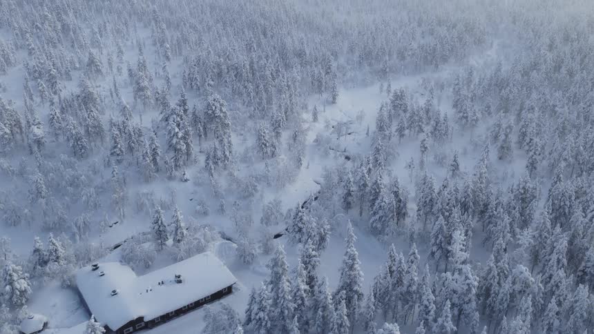 Isolated house covered in snow surrounded by a white forest with a winding stream nearby