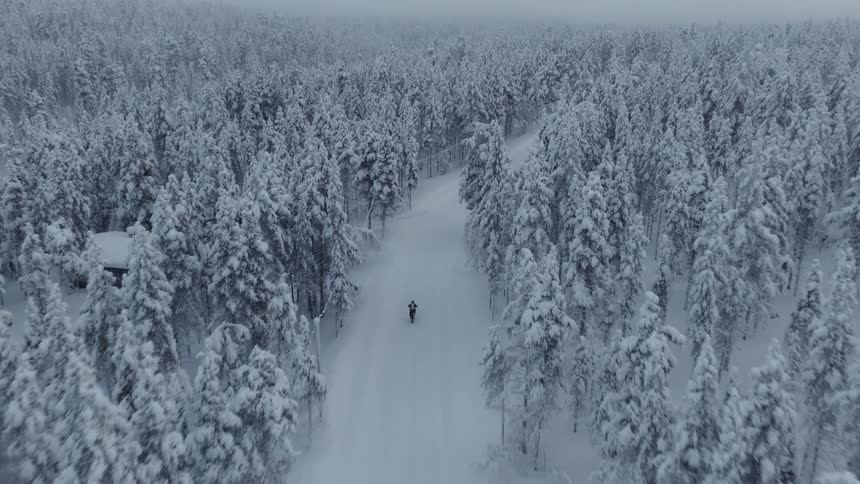 A high view shows a person riding a bicycle down a straight road through a thick forest where every tree is heavily covered in white snow under a grey overcast sky