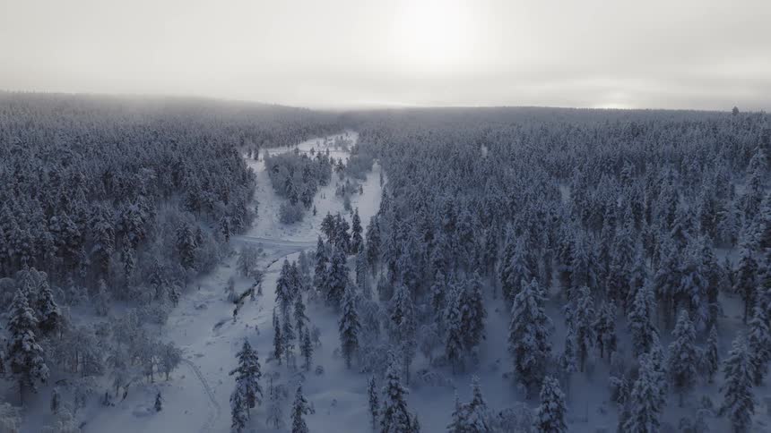 A vast winter forest where dense pine trees are covered in thick white snow under a hazy gray sky as a small winding creek and a snowy road cut through the center of the frozen valley landscape