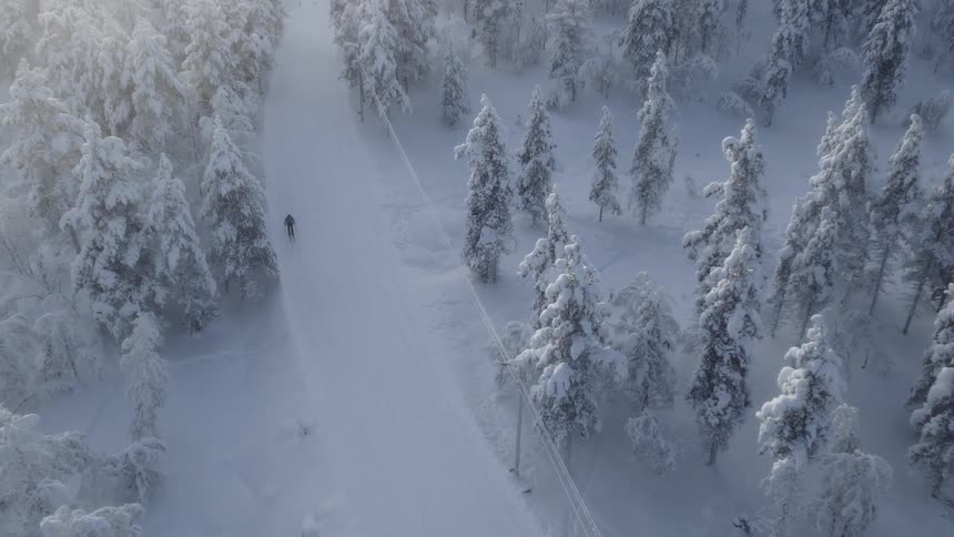 Skier skis parallel to the power lines while skiing through a frost covered conifer forest