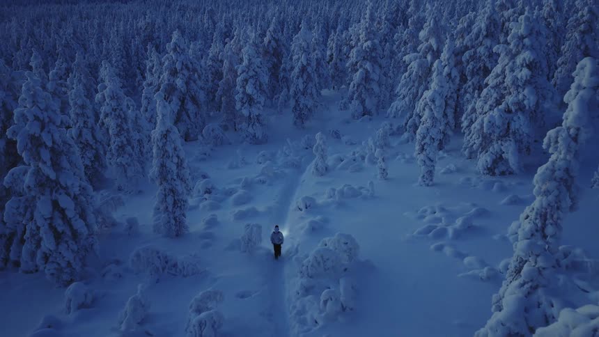 A lone hiker carrying a flashlight walks towards a snow covered forest