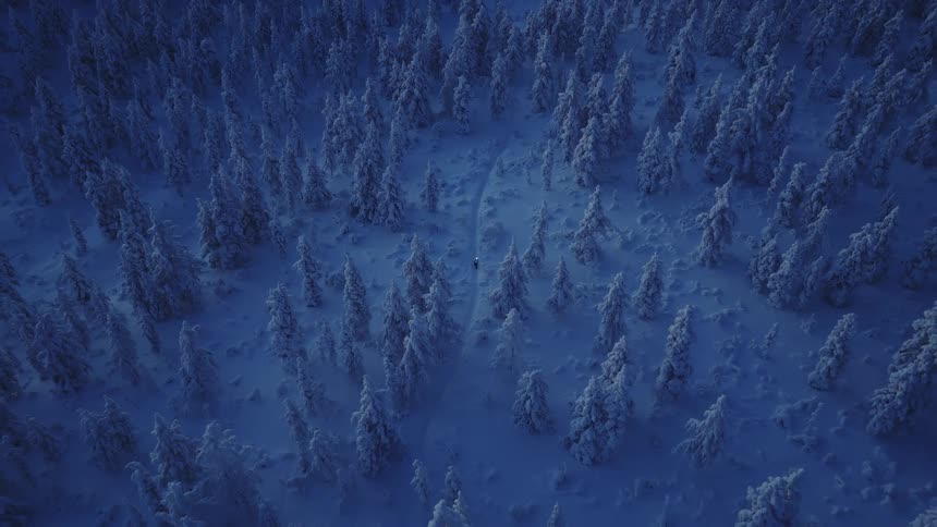 A high view shows a snowmobile with a bright headlight moving through a dense forest of snow covered trees during the blue hour