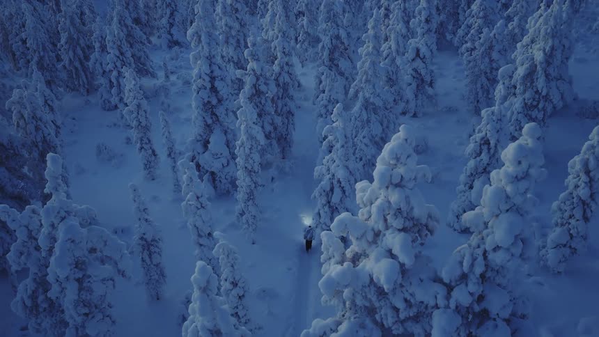 A person with a headlamp walks along a snowy path in a dense forest at twilight